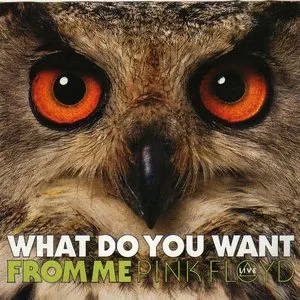 Pochette de What Do You Want From Me de Pink Floyd