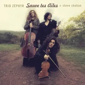 Pochette de Sauve tes ailes de Steve Shehan