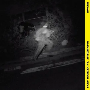 Pochette de Awake de JPEGMAFIA