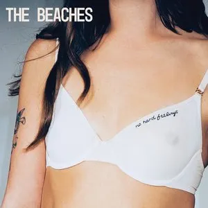 Pochette de Did I Say Too Much de The Beaches