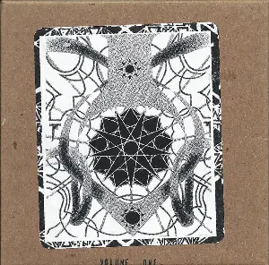 Pochette de Volume One • Loose Bugs de Sunburned Hand of the Man