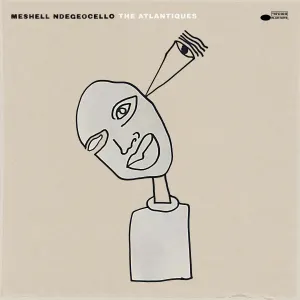 Pochette de The Atlantiques de Meshell Ndegeocello