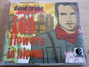 Pochette de 100 Flowers in Bloom de David Bridie