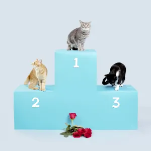 Pochette de Falling Hard de Madi Diaz