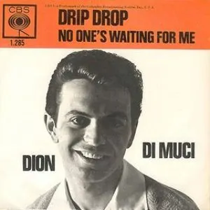 Pochette de Drip Drop de Dion
