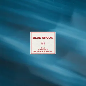 Pochette de Blue Snook de DLJ - ØDYSSEE