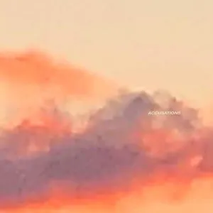 Pochette de Accusations de 070 Shake