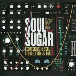 Pochette de Excursions in Soul Reggae Funk & Dub de Soul Sugar