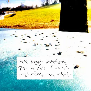 Pochette de Plays the music of & with (Live In Linz) de Noël Akchoté