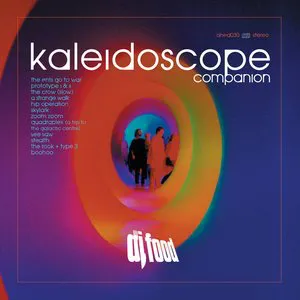 Pochette Kaleidoscope Companion