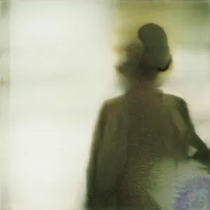 Pochette de I Would Linger de Boson Spin