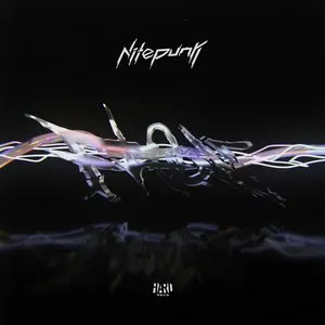 Pochette de Flow de Nitepunk