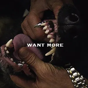 Pochette de Want More de Shygirl