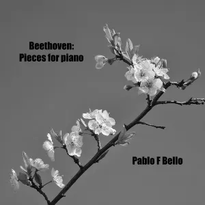 Pochette Pieces for Piano