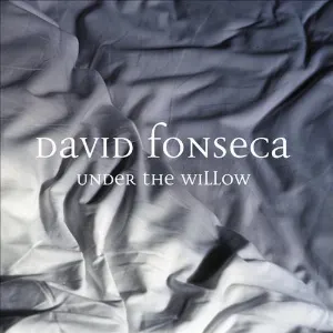 Pochette de Under the Willow de David Fonseca