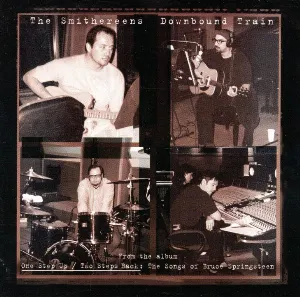 Pochette de Downbound Train de The Smithereens
