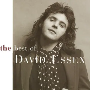 Pochette The Best Of David Essex
