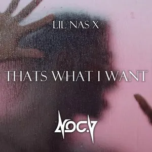 Pochette de THATS WHAT I WANT (Noc.V bootleg) de Lil Nas X