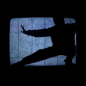 Pochette de Joy Gem de Jesse Somfay