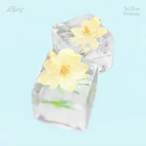 Pochette de Everlasting de N.Flying
