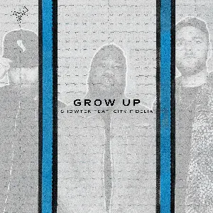 Pochette de Grow Up de Showtek