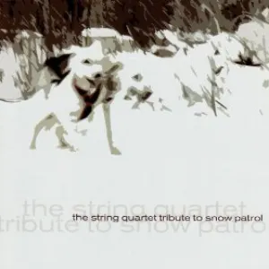Pochette de The String Quartet Tribute to Snow Patrol de Vitamin String Quartet
