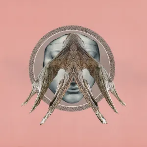 Pochette de Very Invisible de øjeRum