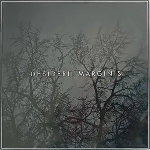 Pochette de The Night Slept on My Arm de Desiderii Marginis