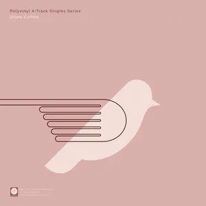 Pochette Polyvinyl 4-Track Singles Series, Vol. 1