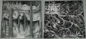 Pochette de Darkness Enfold the Sky / Black Slaughterization de Celestia