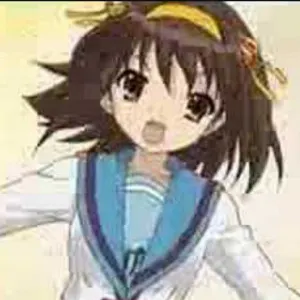 Pochette de haruhikore de dgty