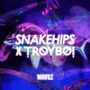 Pochette de Wavez de Snakehips