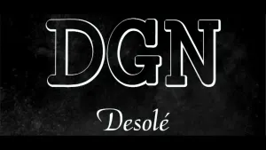 Pochette de Désolé de DGN