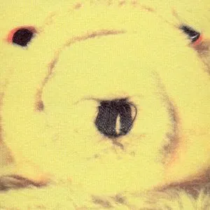 Pochette de Gantse Mishpuchah de Michael Gira