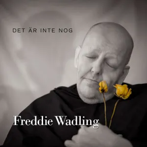 Pochette de Det är inte nog de Freddie Wadling