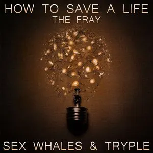Pochette How to Save a Life (Sex Whales & Tryple remix)