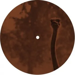 Pochette de Rauta EP de Trentemøller