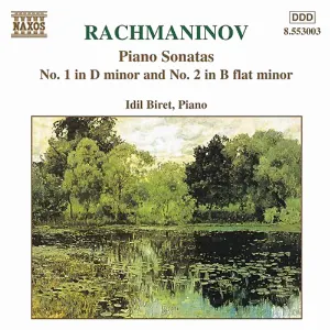Pochette Piano Sonatas no. 1 in D minor / no. 2 in B-flat minor