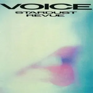 Pochette de VOICE de Stardust Revue
