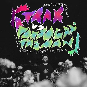 Pochette de What, Me Worry? (A-Trak remix) de Portugal. The Man