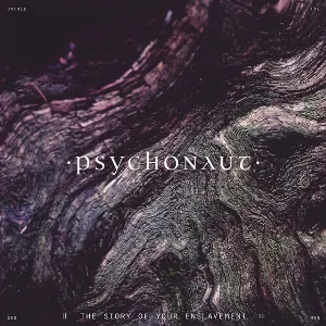 Pochette de The Story of Your Enslavement de Psychonaut