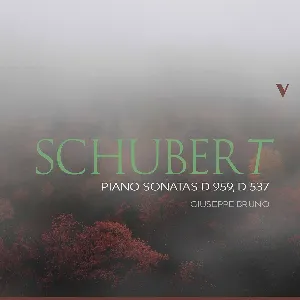 Pochette Piano Sonatas D 959, D 537