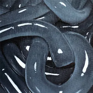 Pochette de W de Boris