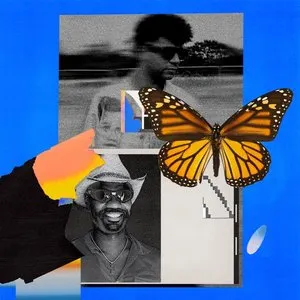 Pochette de Butterflies de Green Velvet