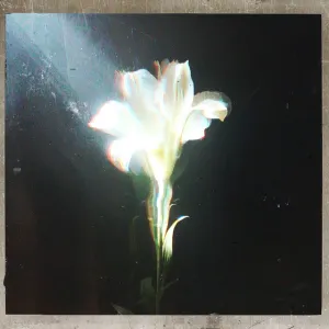 Pochette de Light That Leads Me de Netsky - Bebe Rexha