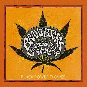 Pochette Black Power Flower