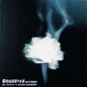 Pochette de Goodbyes (Myrrh) de DJ Snake