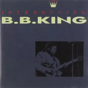 Pochette Introducing B.B. King