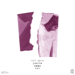 Pochette de Junkie (DNMO Remix) de Nevve