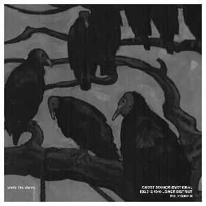 Pochette de under the stares de BLVCKCEILING